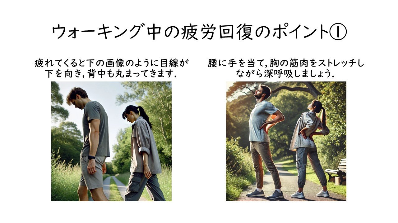 スライド9.JPG