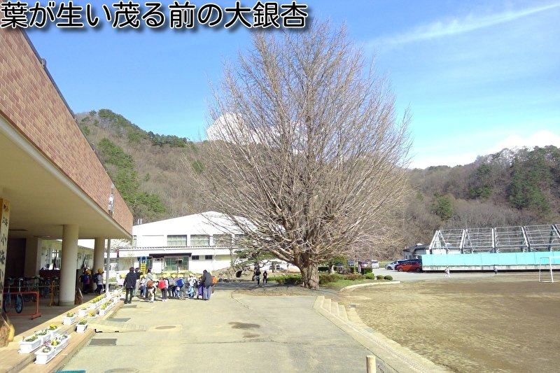 https://www.koumi-town.jp/office2/archives/files/images/0e8674488eddee6d9e33ab1fc10c354a37be7303.jpeg