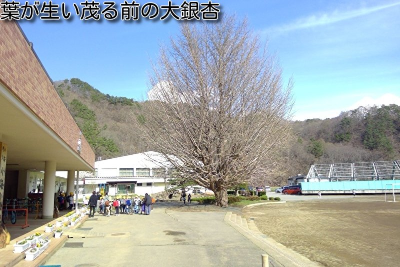 https://www.koumi-town.jp/office2/archives/files/images/0e8674488eddee6d9e33ab1fc10c354a37be7303.jpeg