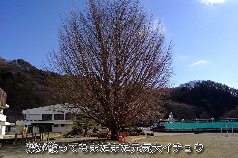 https://www.koumi-town.jp/office2/archives/files/images/0ed45a35a0bdcf45d2b3cd63b4584eda358d3f0e.jpeg