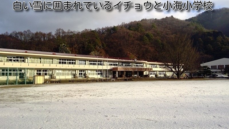 https://www.koumi-town.jp/office2/archives/files/images/0f424ec7e4ec605fa3549f27cb48fd1b0dadadc7.jpeg