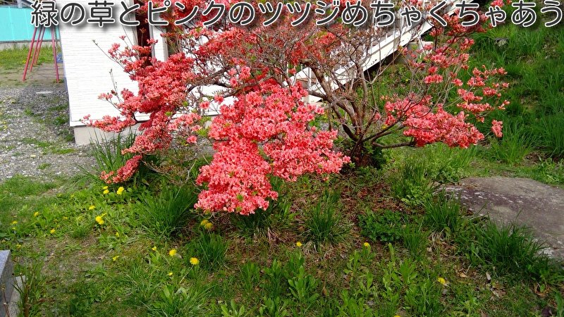 https://www.koumi-town.jp/office2/archives/files/images/11.jpeg