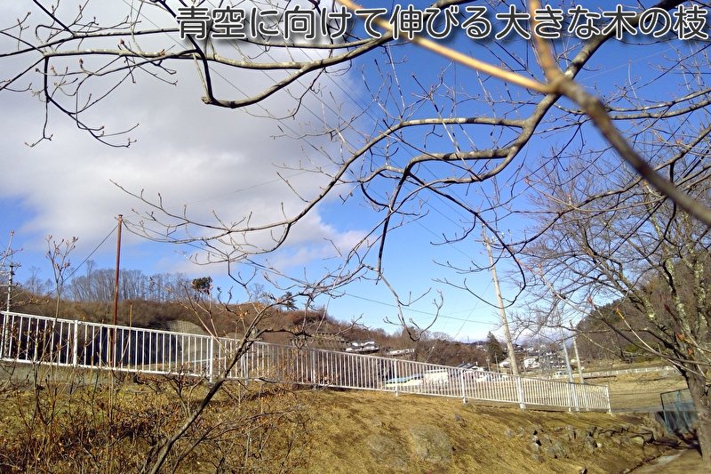https://www.koumi-town.jp/office2/archives/files/images/11.jpg