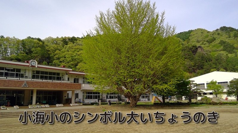 https://www.koumi-town.jp/office2/archives/files/images/12.jpeg