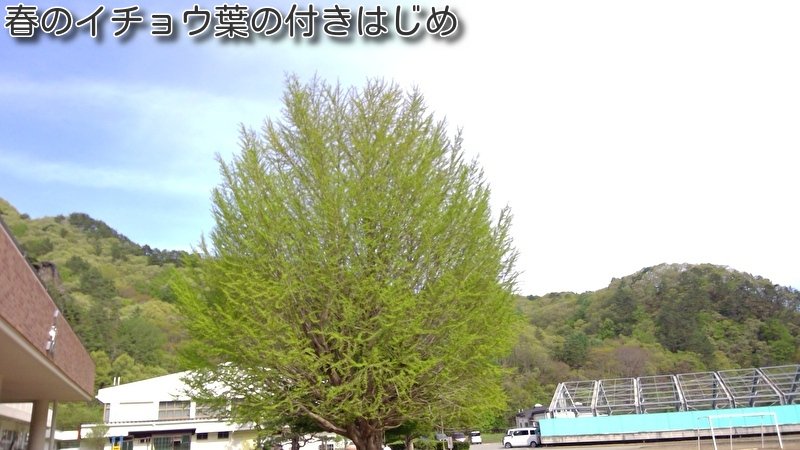https://www.koumi-town.jp/office2/archives/files/images/1c2cbd8a0e2585ac2f4a60b6c8368669881b333e.jpeg