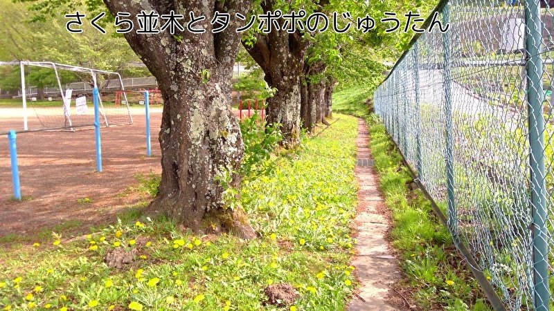 https://www.koumi-town.jp/office2/archives/files/images/21.jpeg