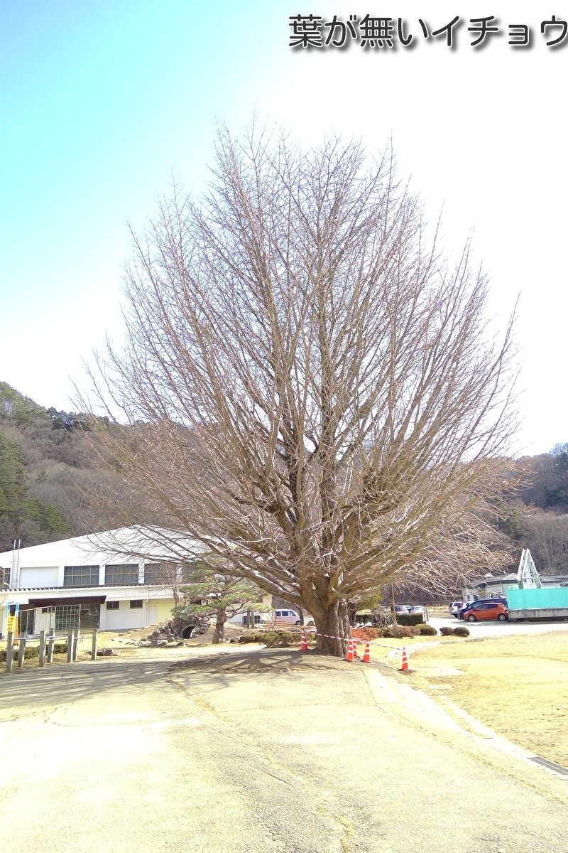 https://www.koumi-town.jp/office2/archives/files/images/2380ed895d9f8a6175620cfbc2c693070be4e593.jpeg