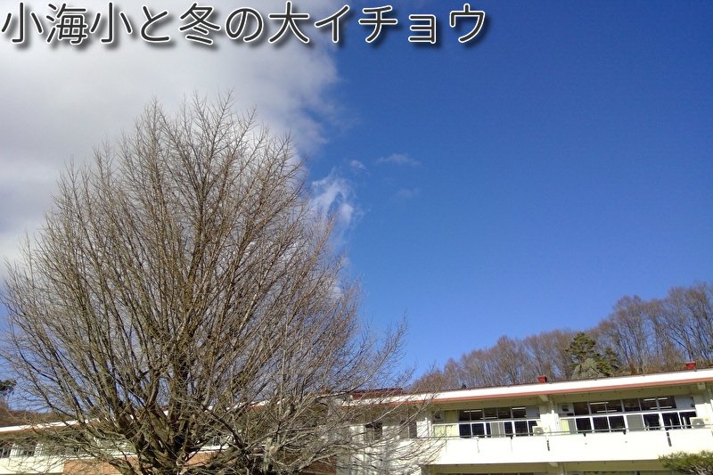 https://www.koumi-town.jp/office2/archives/files/images/2e6d9a254923efe62fc25abc8f5581989bfcfa09.jpeg