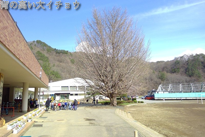 https://www.koumi-town.jp/office2/archives/files/images/7%283%29.jpeg