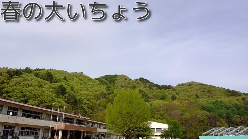 https://www.koumi-town.jp/office2/archives/files/images/757d0b983fa89e157b6e12c855606450875e399c.jpeg