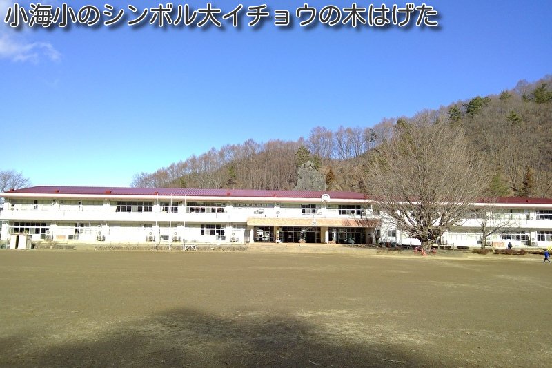 https://www.koumi-town.jp/office2/archives/files/images/8ae650f7bdd0db120811c7ac3b9ceef3e96fe79d.jpeg