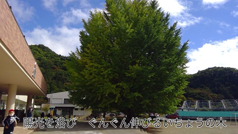 https://www.koumi-town.jp/office2/archives/files/images/8de8b5610e7222059d8bdf067f4b63b3a015600b.jpeg