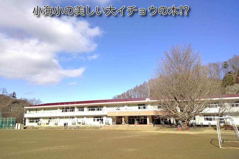 https://www.koumi-town.jp/office2/archives/files/images/a5270526eefa873757f0662b0d493e7c36b5d938.jpeg