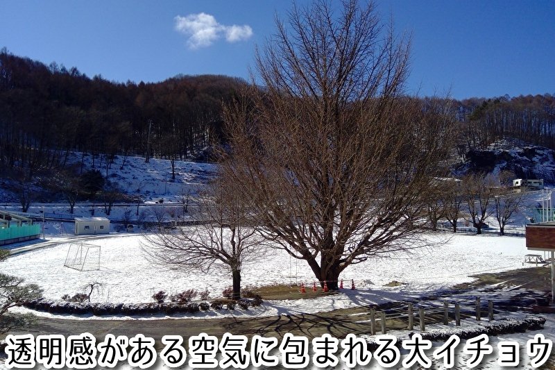 https://www.koumi-town.jp/office2/archives/files/images/b5cc5a61c319a524564271423a9b488f8e746baa.jpeg