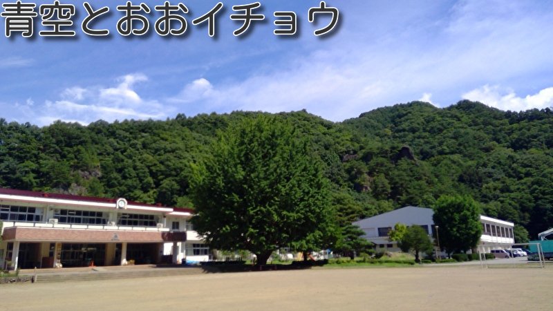 https://www.koumi-town.jp/office2/archives/files/images/b9c278a86f0b0ffb05fdf07852604185e4a3c8b5.jpeg