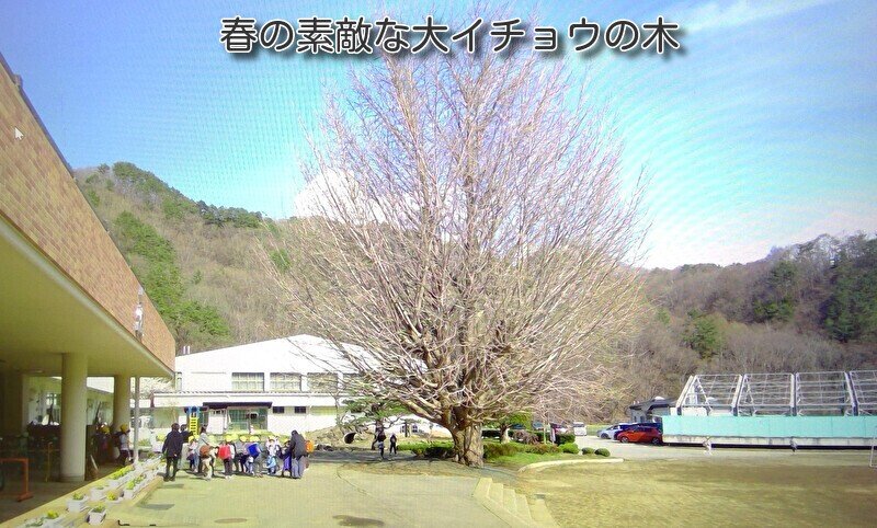 https://www.koumi-town.jp/office2/archives/files/images/bc8f2fde00c8718e969689e902a946112c144264.jpeg