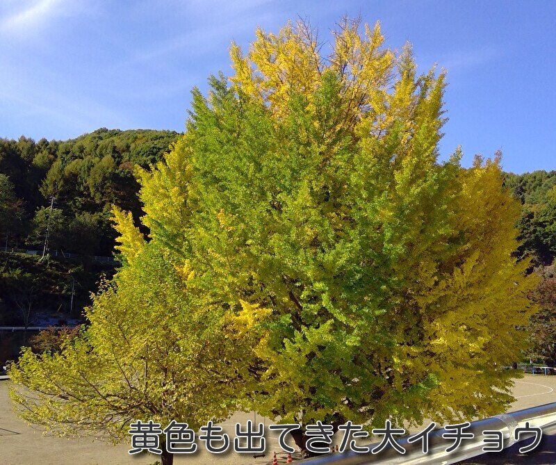 https://www.koumi-town.jp/office2/archives/files/images/c581a93159bb024e99ff8ae04c40d7855bfa03e1.jpeg