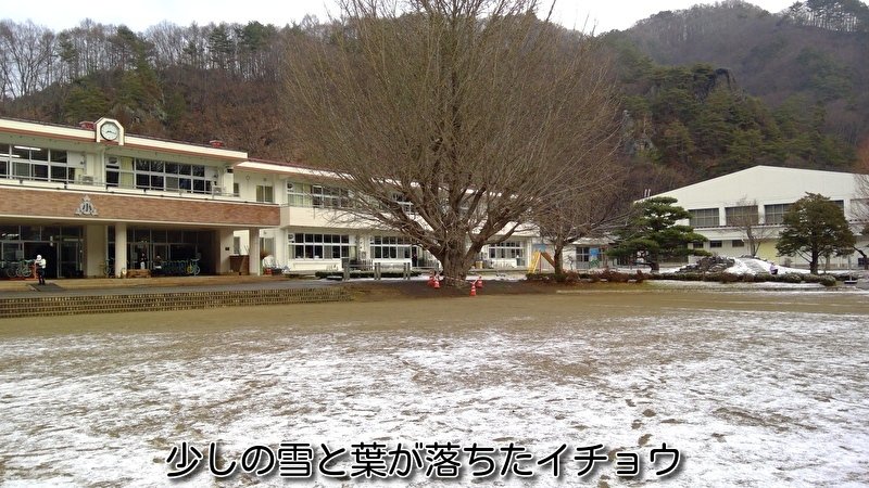 https://www.koumi-town.jp/office2/archives/files/images/e406d7580ff1860958907e388cc81dba29562a3e.jpeg