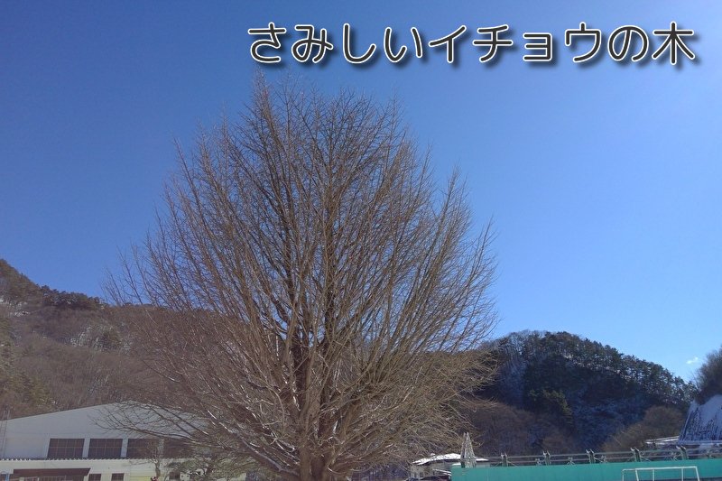 https://www.koumi-town.jp/office2/archives/files/images/e4fc2b308b5f83ae45a9cfa08f0e0a4d090b35b6.jpeg