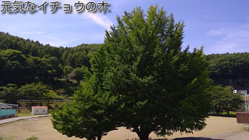 https://www.koumi-town.jp/office2/archives/files/images/e6c0ba3d91487448a0f38a2773e900eccf6a6c47.jpeg