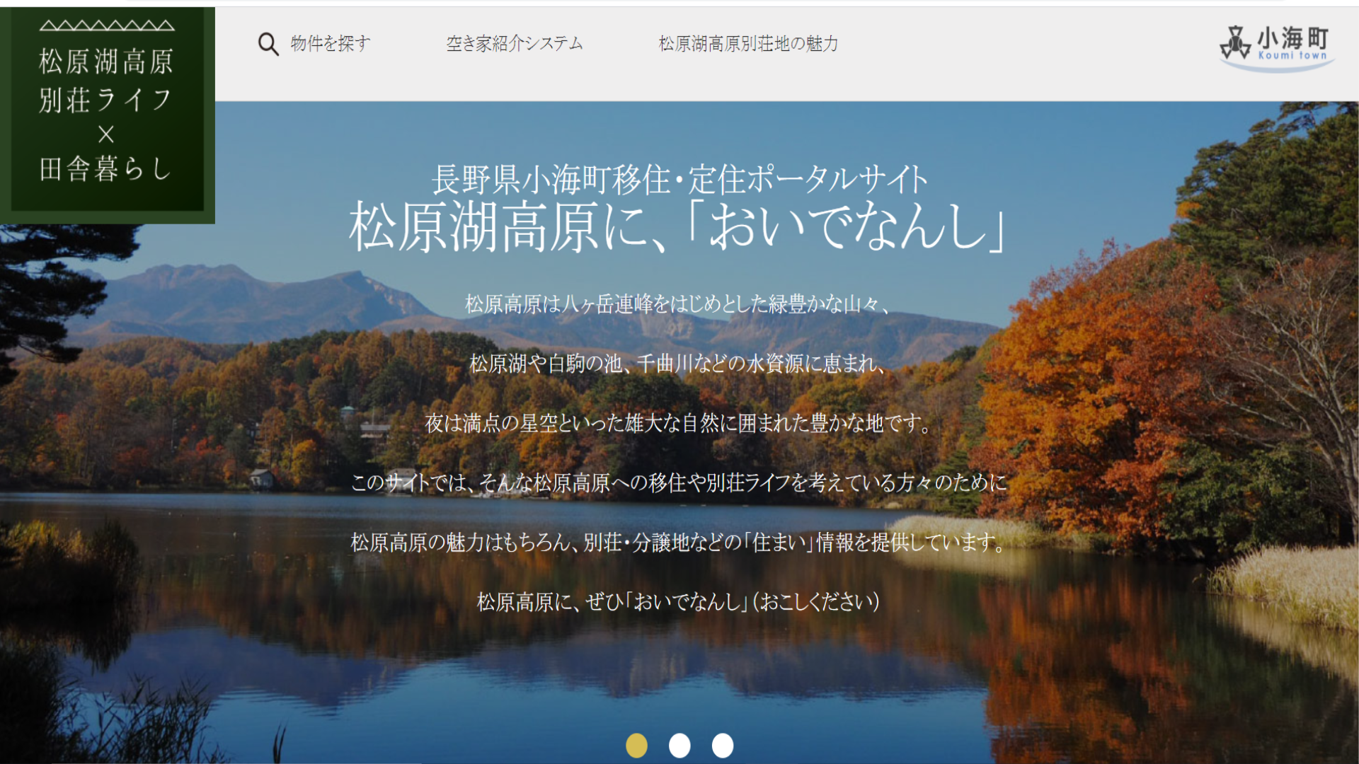 移住定住ポータルサイト.png