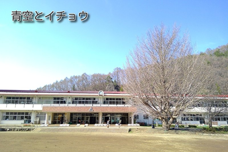 https://www.koumi-town.jp/office2/archives/files/images/f42c0b87e4c33f5599f286acbbf2f32ee78bd868.jpeg