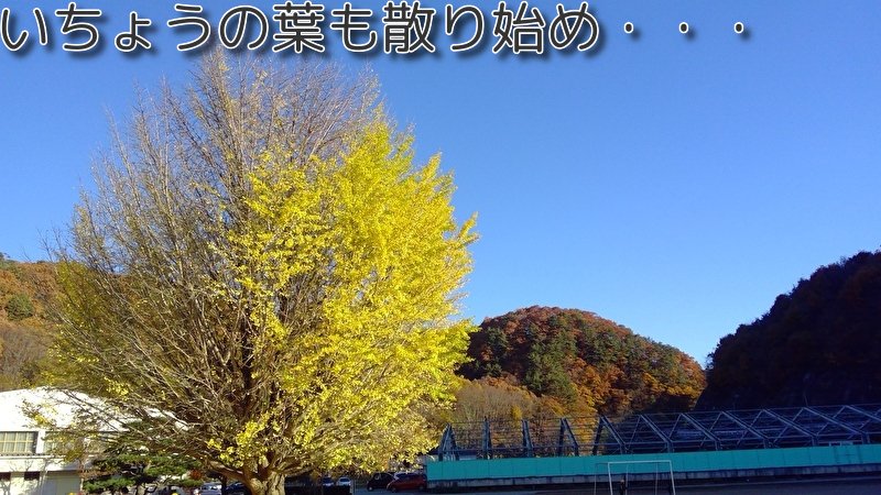 https://www.koumi-town.jp/office2/archives/files/images/f7d492d76afdcc898cc01a0be0bb5d089df33b48.jpeg
