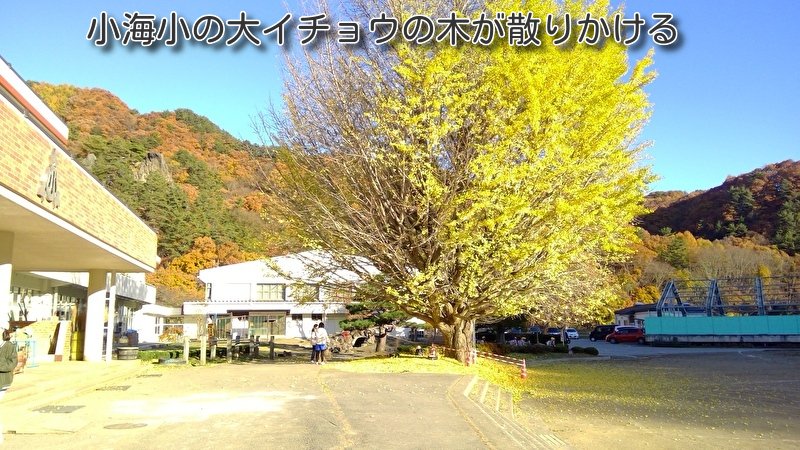 https://www.koumi-town.jp/office2/archives/files/images/fb0346d2e3a420bdbb2dc8f54de7256b40c5ca2b.jpeg