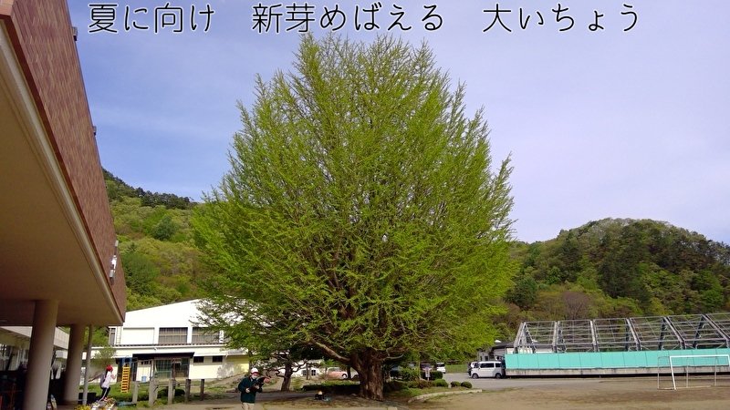 https://www.koumi-town.jp/office2/archives/files/images/fdbc114bb4d208c38a308f5086266068d7649198.jpeg